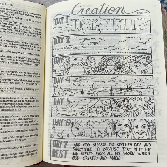 My Creative Bible KJV Journaling Bible - Picture 5 of 12